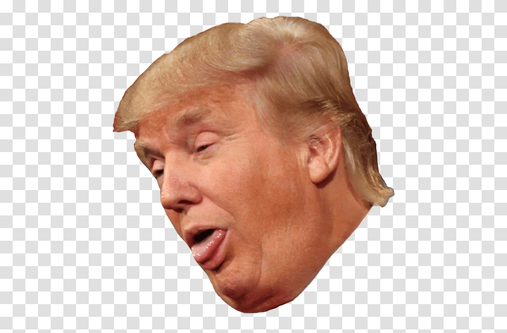 Donald Trump Clipart Head Stupid Trump, Face, Person, Human, Senior Citizen Transparent Png