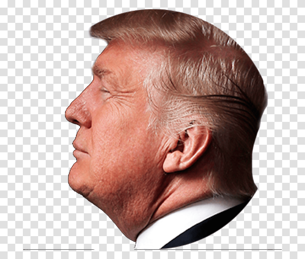 Donald Trump De Profil, Head, Face, Person, Human Transparent Png