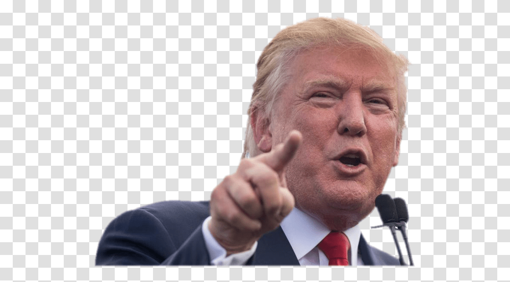 Donald Trump Domain Names For Sale Happy Birthday David Trump, Tie, Audience, Crowd, Person Transparent Png