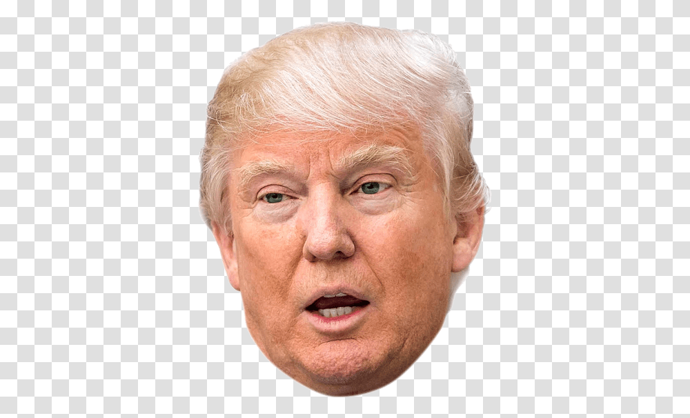 Donald Trump Face, Head, Person, Human, Portrait Transparent Png