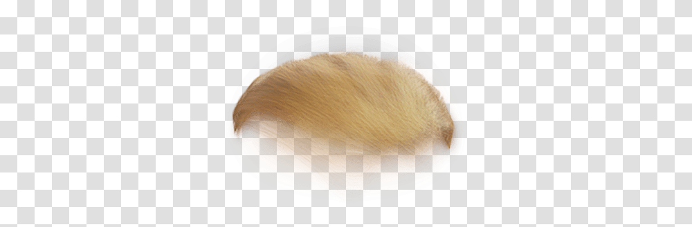 Donald Trump Hair Blond, Meal, Food, Bowl, Dish Transparent Png