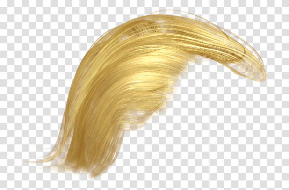 Donald Trump Hair Donald Trump Hair Background, Fungus, Bird, Animal, Lute Transparent Png