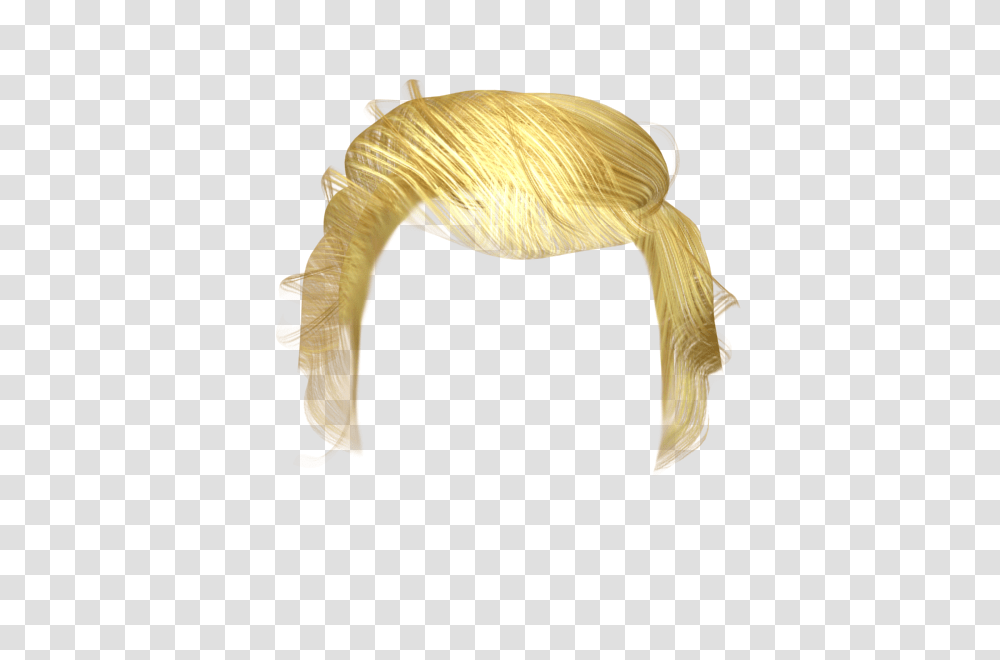 Donald Trump Hair Donald Trump Hair, Bird, Animal, Clothing Transparent Png