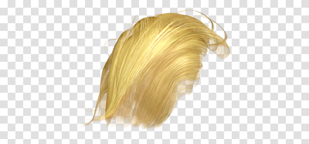 Donald Trump Hair Trump Hair, Fungus, Sea Life, Animal, Invertebrate Transparent Png
