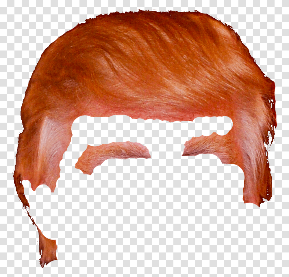 Donald Trump Hair - Ryan And Debi & Toren Donald Trump Hair, Head, Skin, Face, Pillow Transparent Png