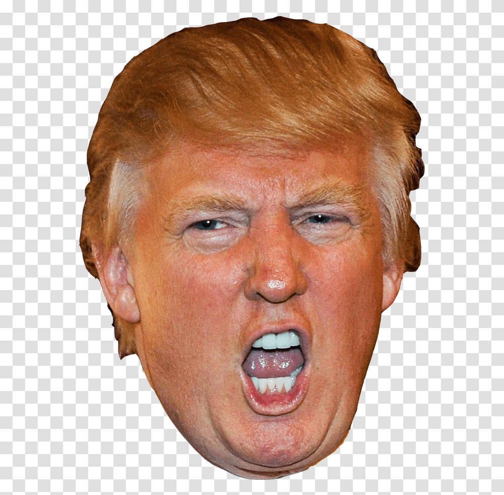Donald Trump Head Happy Birthday Amber Funny, Teeth, Mouth, Lip, Person Transparent Png