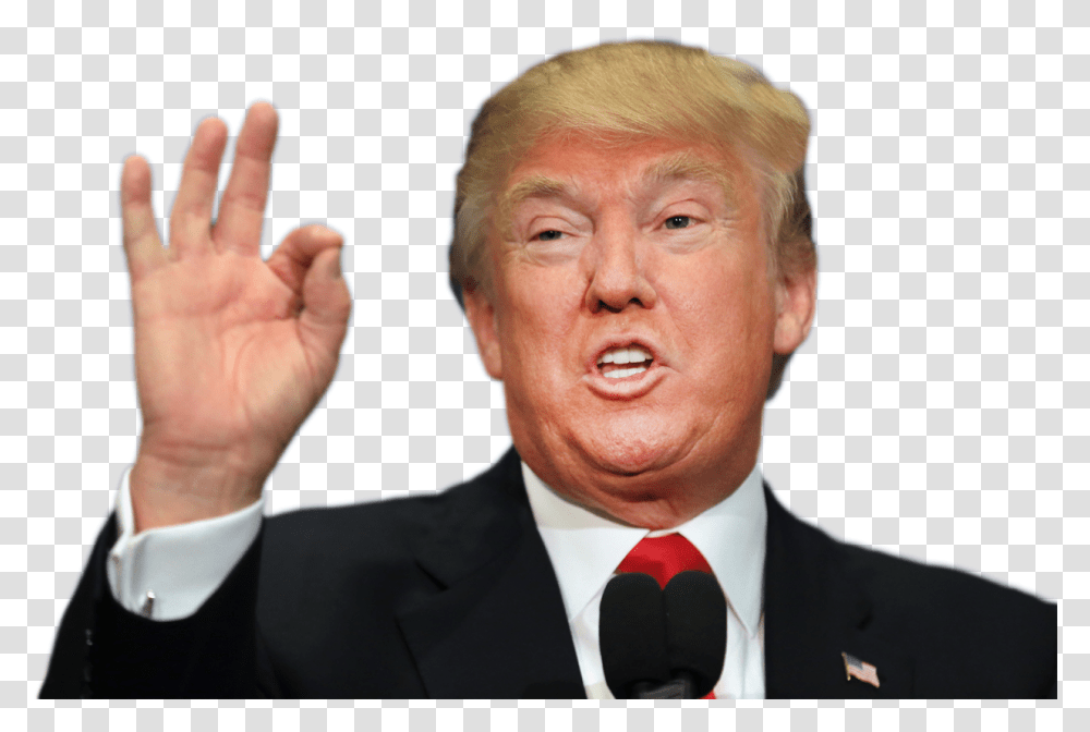 Donald Trump Image Trump Imgur, Tie, Accessories, Audience, Crowd Transparent Png