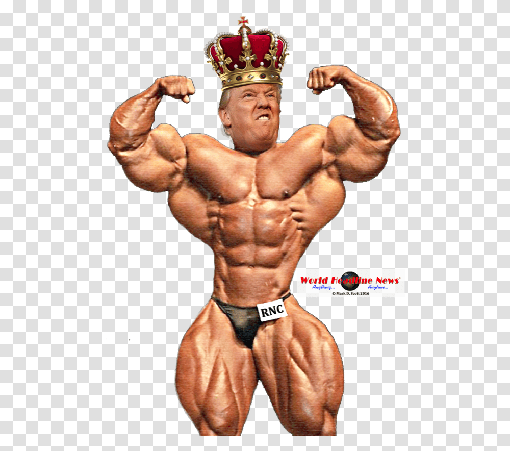 Donald Trump In A Swim Suit, Arm, Person, Human, Torso Transparent Png