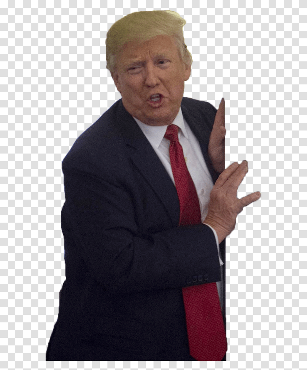 Donald Trump President Of The United States Businessperson Donald Trump Background, Tie, Accessories, Accessory, Human Transparent Png