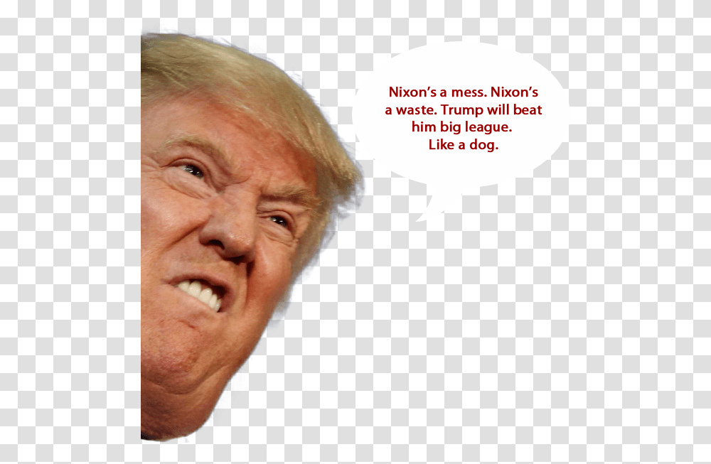 Donald Trump Scrunched Face, Person, Head, Photography, Portrait Transparent Png