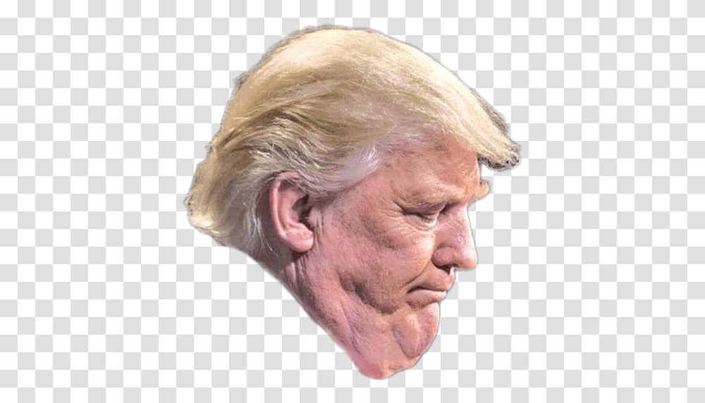 Donald Trump Trump Tower United States Trump's Ugly, Head, Person, Human, Face Transparent Png
