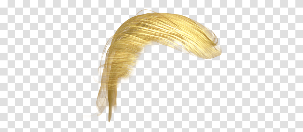 Donald Trump Wig Blond Hair Trump, Fungus, Cane, Stick, Ivory Transparent Png
