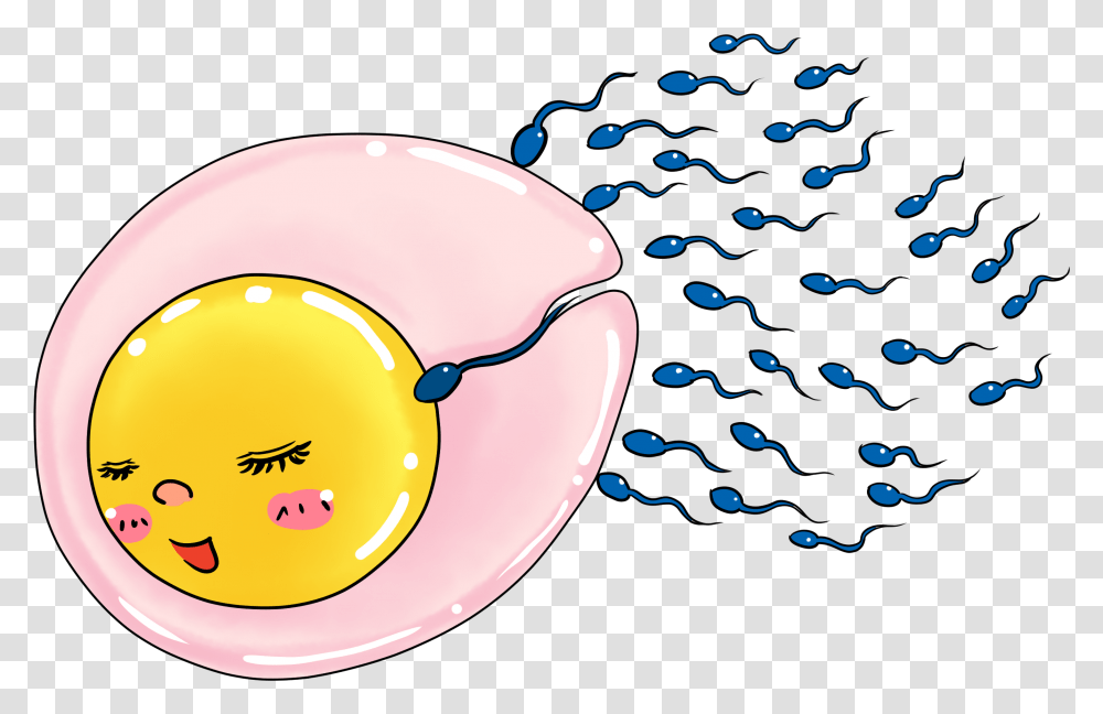 Donation Cartoon On Egg And Sperm, Sea Life, Animal, Clam, Seashell Transparent Png