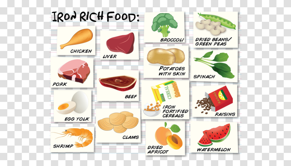 Donation Clipart Can Food Food Is Good For Iron, Sweets, Bird, Mouth Transparent Png