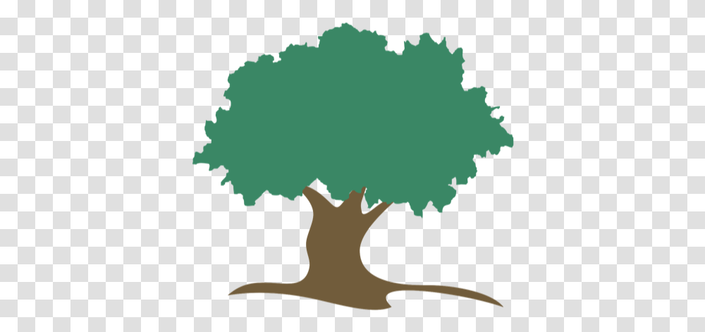 Donation Oak, Tree, Plant, Bird, Animal Transparent Png