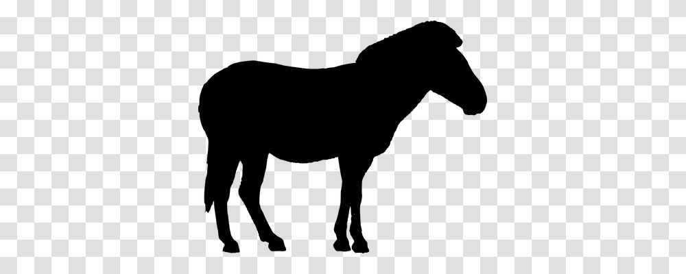 Donkey Animals, Gray, World Of Warcraft Transparent Png