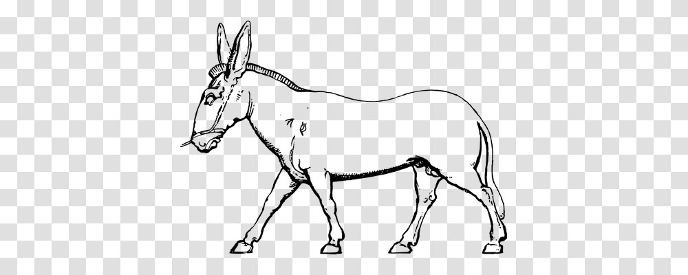 Donkey Animals, Gray, World Of Warcraft Transparent Png