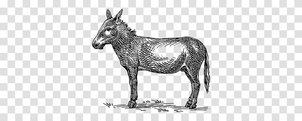 Donkey Animals, Gray, World Of Warcraft Transparent Png