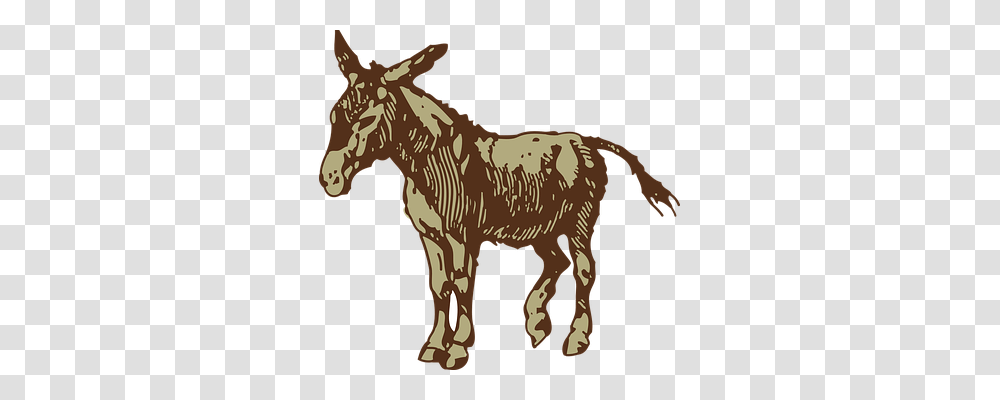 Donkey Animals, Mammal, Horse Transparent Png