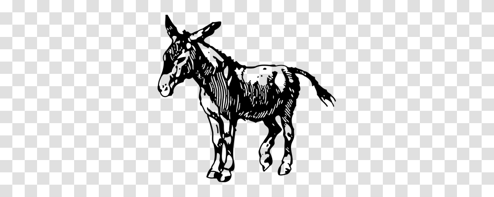 Donkey Religion, Gray, World Of Warcraft Transparent Png