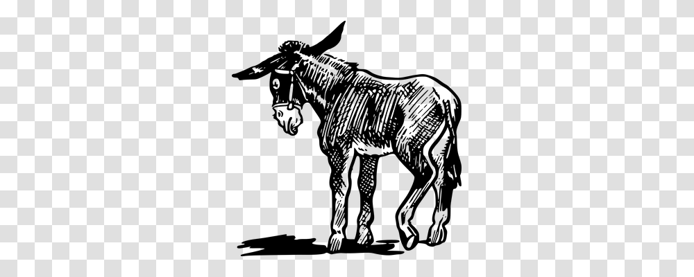 Donkey Animals, Gray, World Of Warcraft Transparent Png