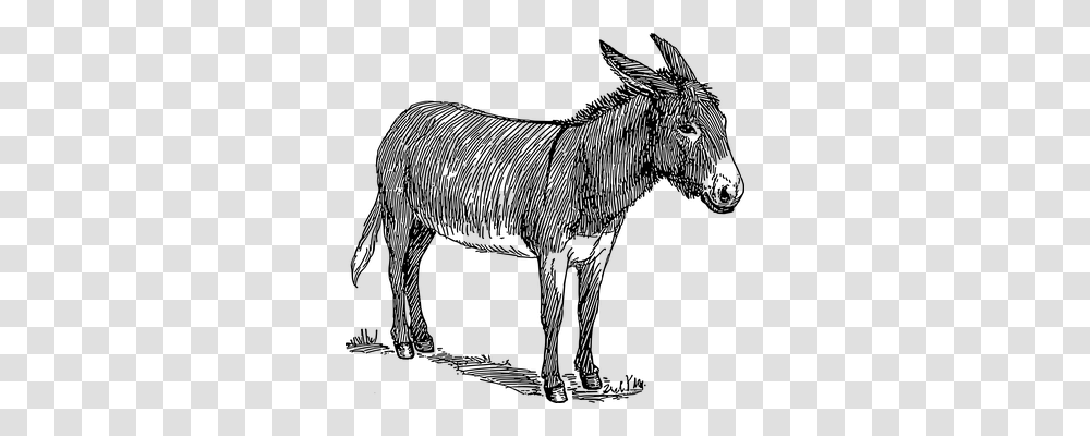 Donkey Animals, Gray, World Of Warcraft Transparent Png