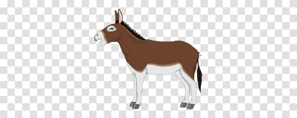 Donkey Religion, Horse, Mammal, Animal Transparent Png