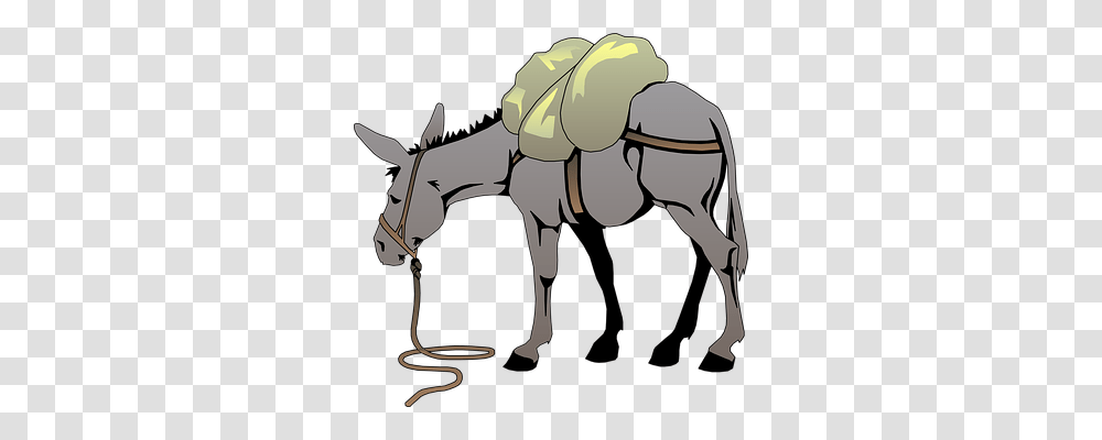 Donkey Animals, Mammal Transparent Png