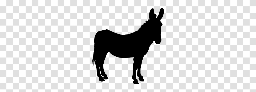 Donkey, Animals, Gray, World Of Warcraft Transparent Png