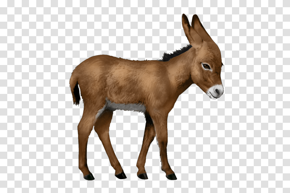 Donkey, Animals, Horse, Mammal, Antelope Transparent Png