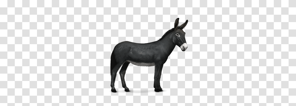 Donkey, Animals, Horse, Mammal Transparent Png
