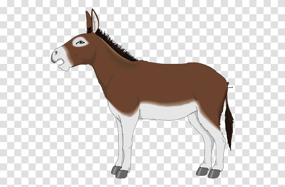 Donkey, Animals, Horse, Mammal Transparent Png