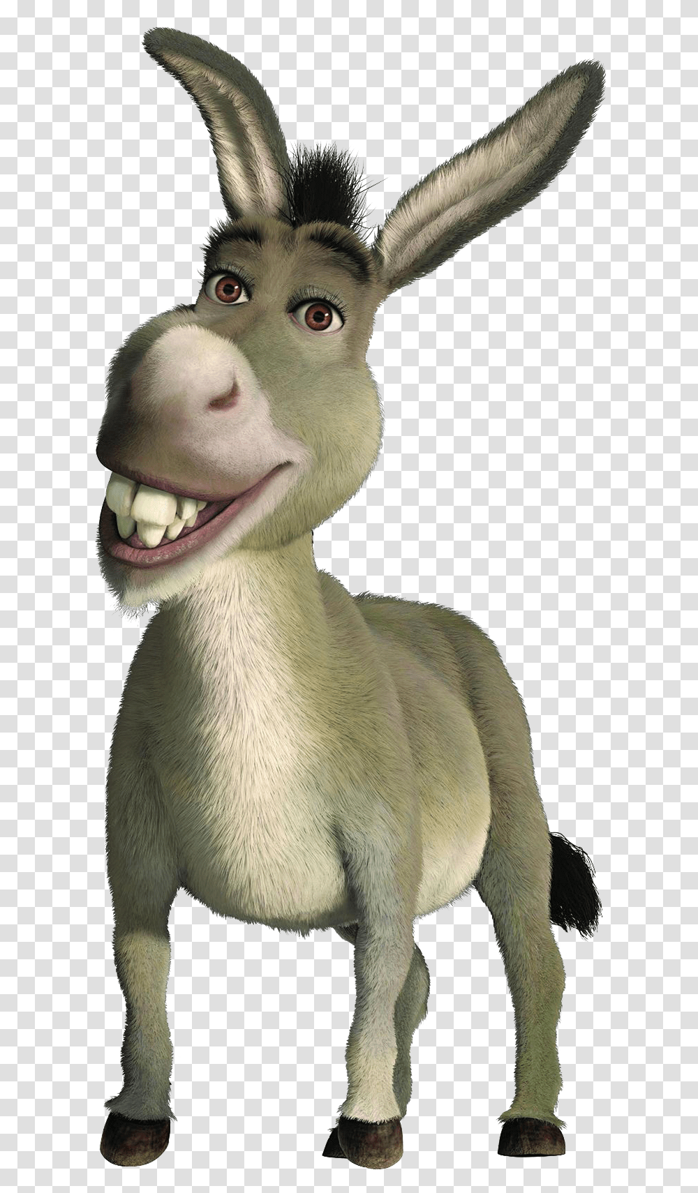 Donkey, Animals, Mammal, Cattle Transparent Png