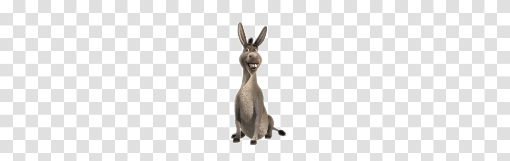 Donkey, Animals, Mammal, Kangaroo, Wallaby Transparent Png