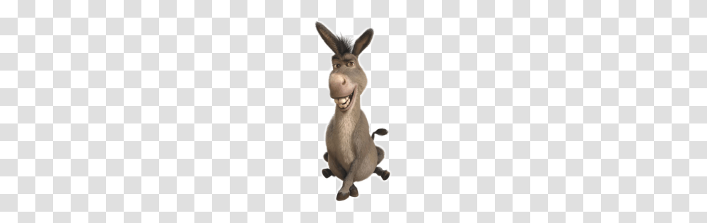 Donkey, Animals, Mammal, Rabbit, Rodent Transparent Png