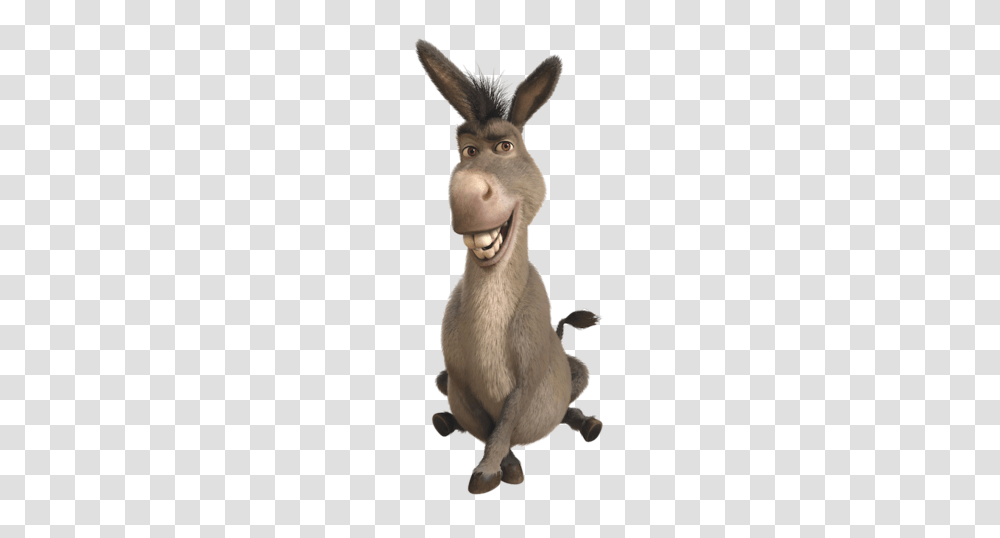 Donkey, Animals, Mammal Transparent Png