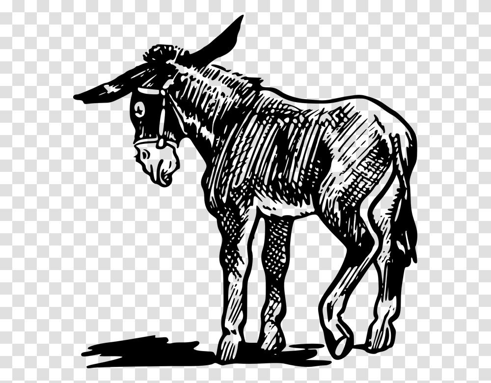 Donkey Benjamin Animal Farm, Gray, World Of Warcraft Transparent Png