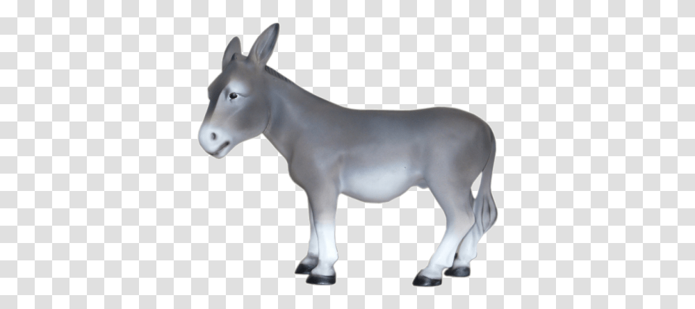 Donkey Burro, Mammal, Animal, Horse, Antelope Transparent Png