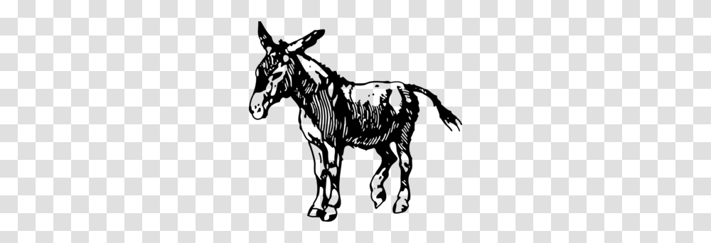 Donkey Clip Art, Gray, World Of Warcraft Transparent Png