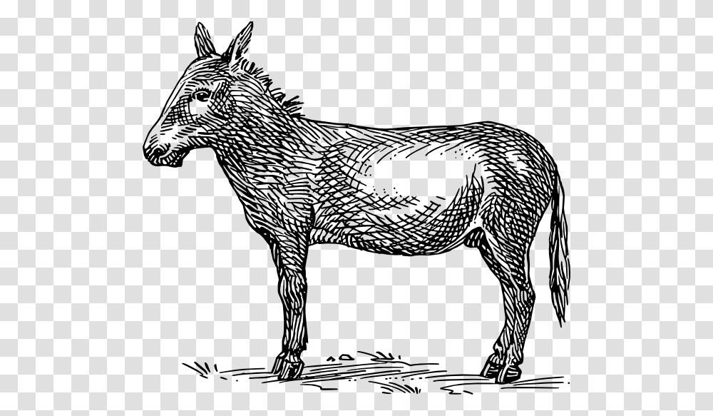 Donkey Clip Art, Horse, Mammal, Animal Transparent Png