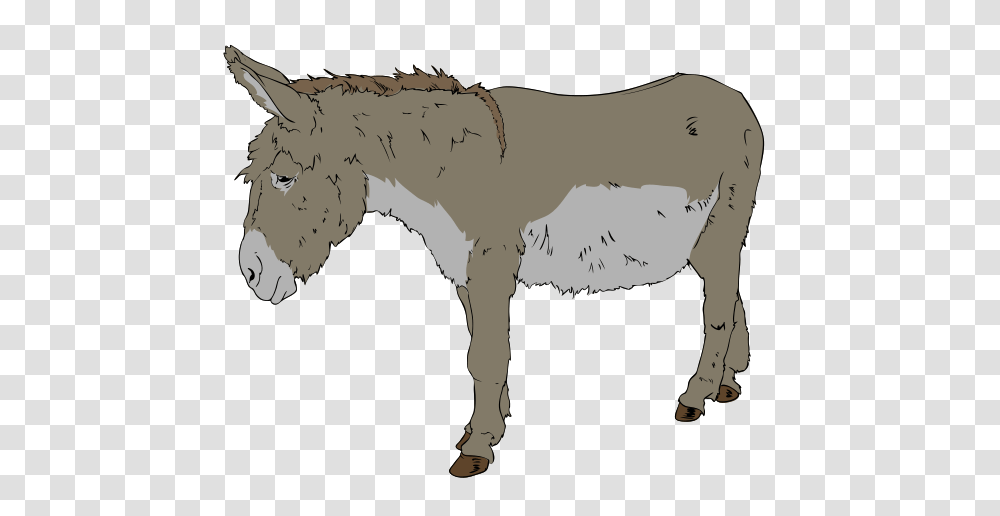 Donkey Clipart, Mammal, Animal, Coyote, Person Transparent Png