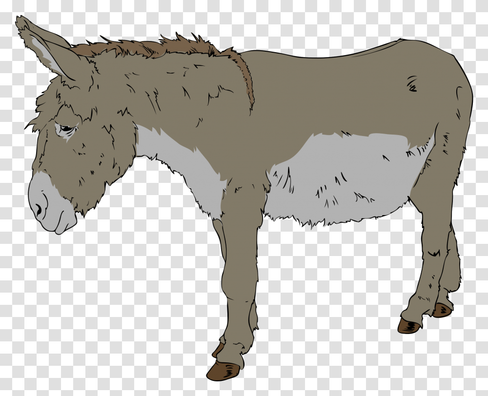 Donkey Clipart, Mammal, Animal, Coyote, Wolf Transparent Png