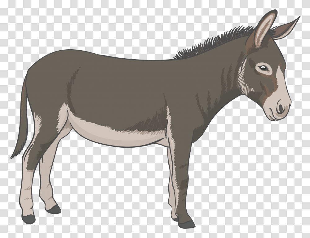 Donkey Donkey, Mammal, Animal, Horse Transparent Png