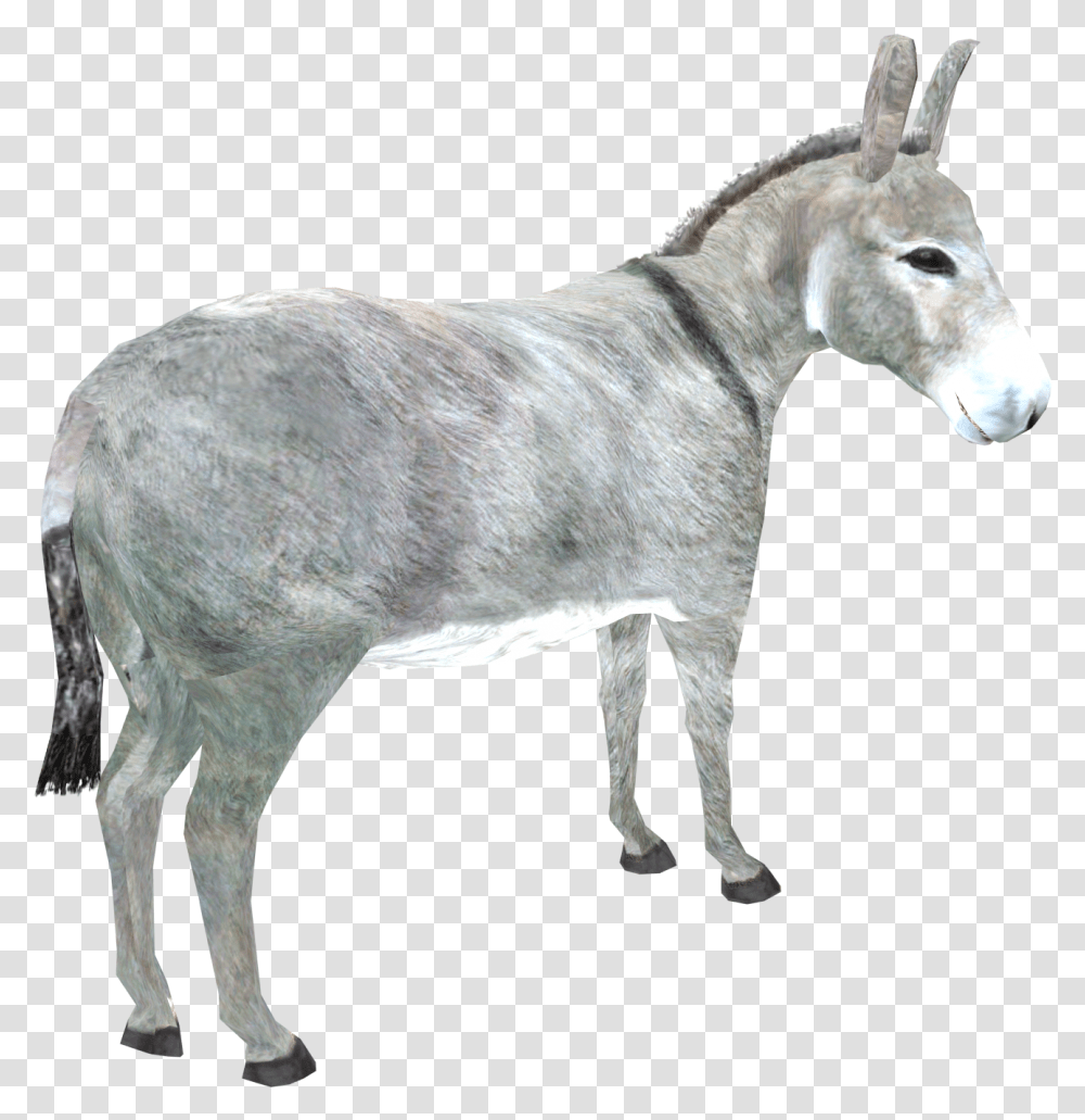 Donkey Download Image Donkey, Mammal, Animal, Antelope, Wildlife Transparent Png