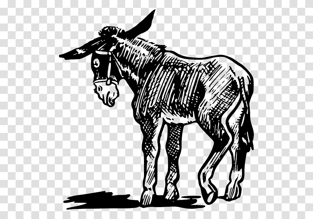Donkey Drawing Images At Donkey Clipart Black And White, Mammal, Animal, Horse, Zebra Transparent Png