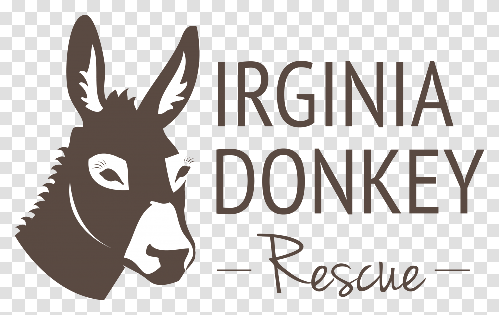 Donkey For Sale In Virginia Beach Download Burro, Label Transparent Png