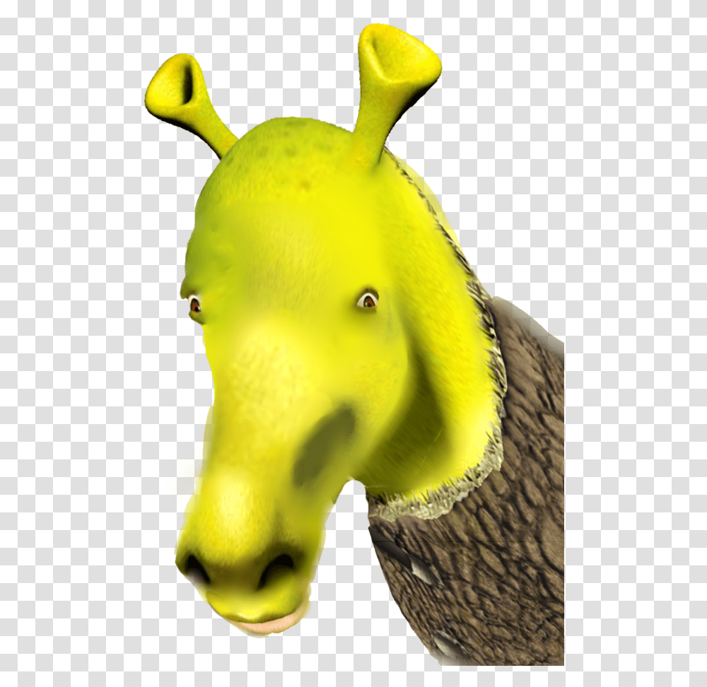 Donkey From Shrek, Animal, Bird, Fish, Sea Life Transparent Png