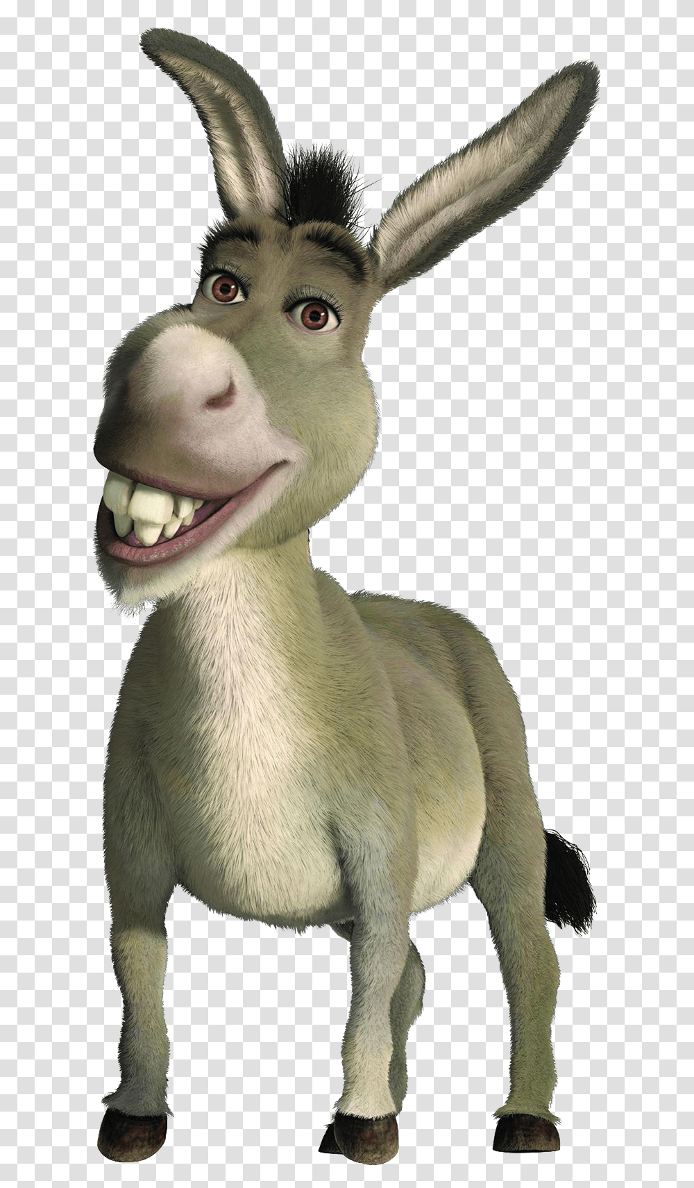 Donkey From Shrek, Animal, Mammal, Kangaroo, Wallaby Transparent Png