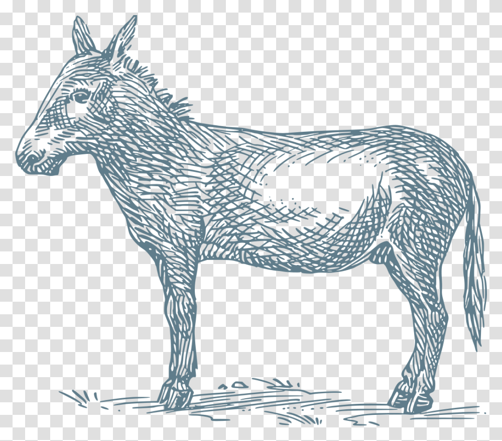 Donkey Grimms Fairy Tale, Gray, Texture Transparent Png