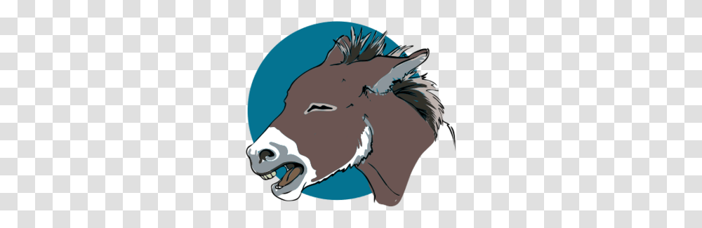 Donkey Head Clipart Clipartmasters, Mammal, Animal Transparent Png